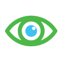 Vision